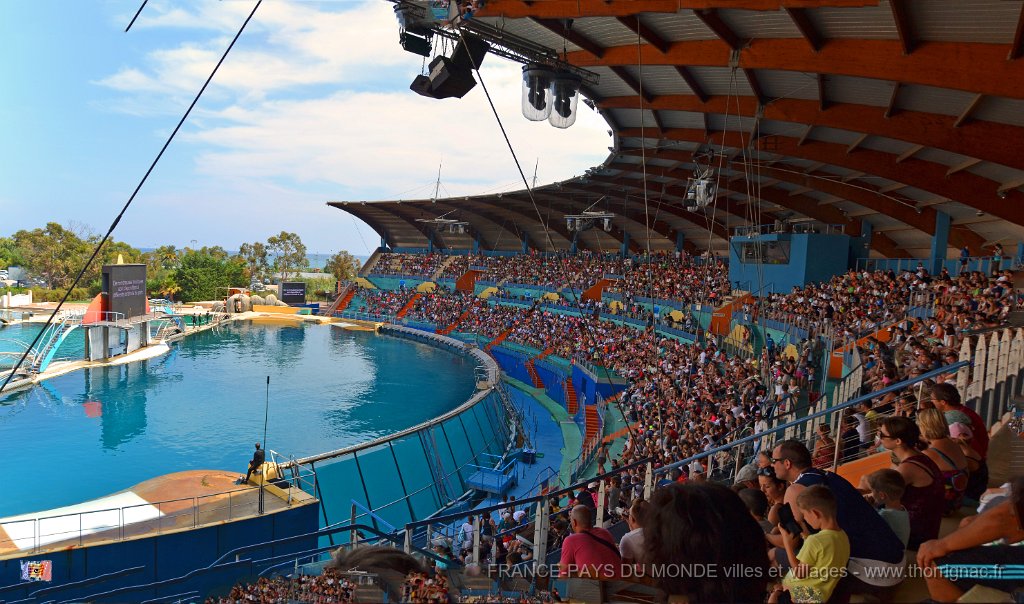Marineland aout 2014 10.jpg - Marineland - Parc d'attractions aquatiques - Antibes - Août 2014