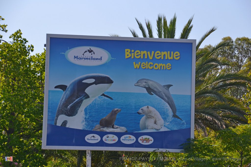 Marineland aout 2014 12.JPG - Marineland - Parc d'attractions aquatiques - Antibes - Août 2014