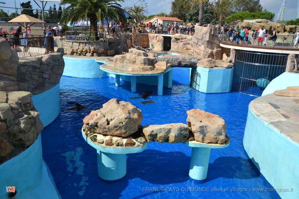 Marineland aout 2014 15.JPG - Marineland - Parc d'attractions aquatiques - Antibes - Août 2014