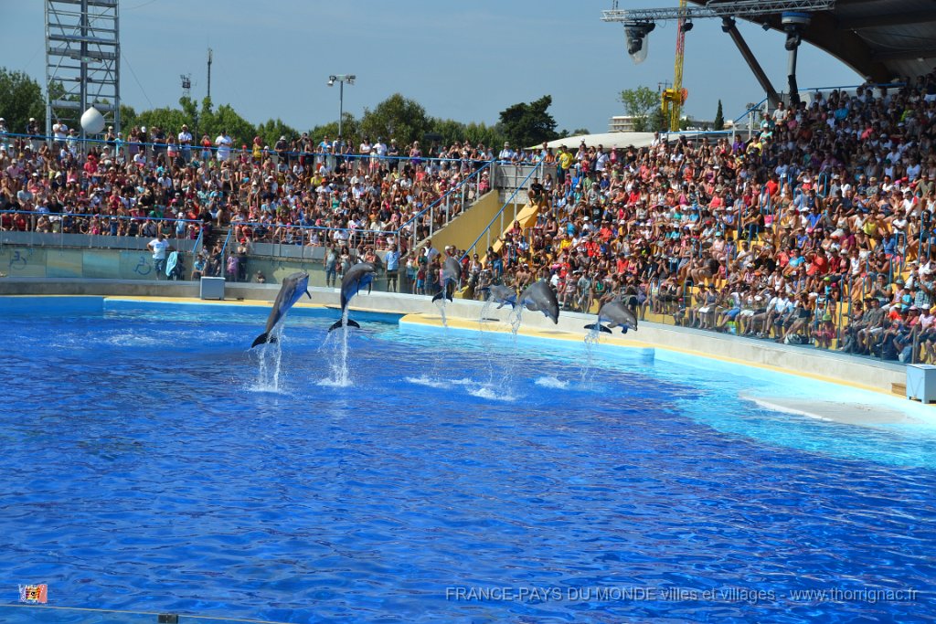 Marineland aout 2014 22.JPG - Marineland - Parc d'attractions aquatiques - Antibes - Août 2014