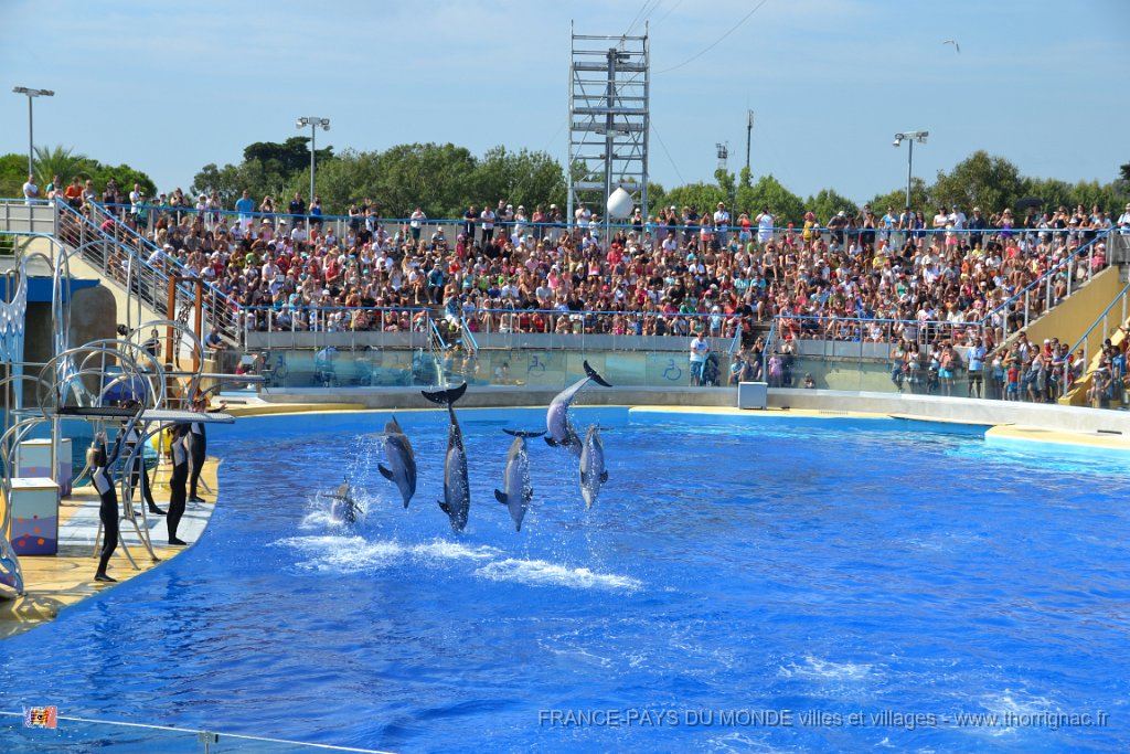 Marineland aout 2014 26.JPG - Marineland - Parc d'attractions aquatiques - Antibes - Août 2014