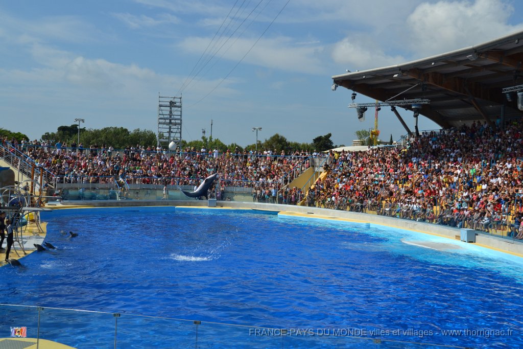 Marineland aout 2014 28.JPG - Marineland - Parc d'attractions aquatiques - Antibes - Août 2014