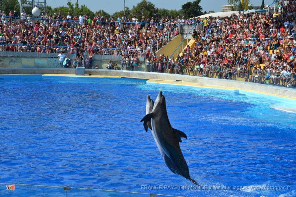 Marineland aout 2014 31.JPG - Marineland - Parc d'attractions aquatiques - Antibes - Août 2014