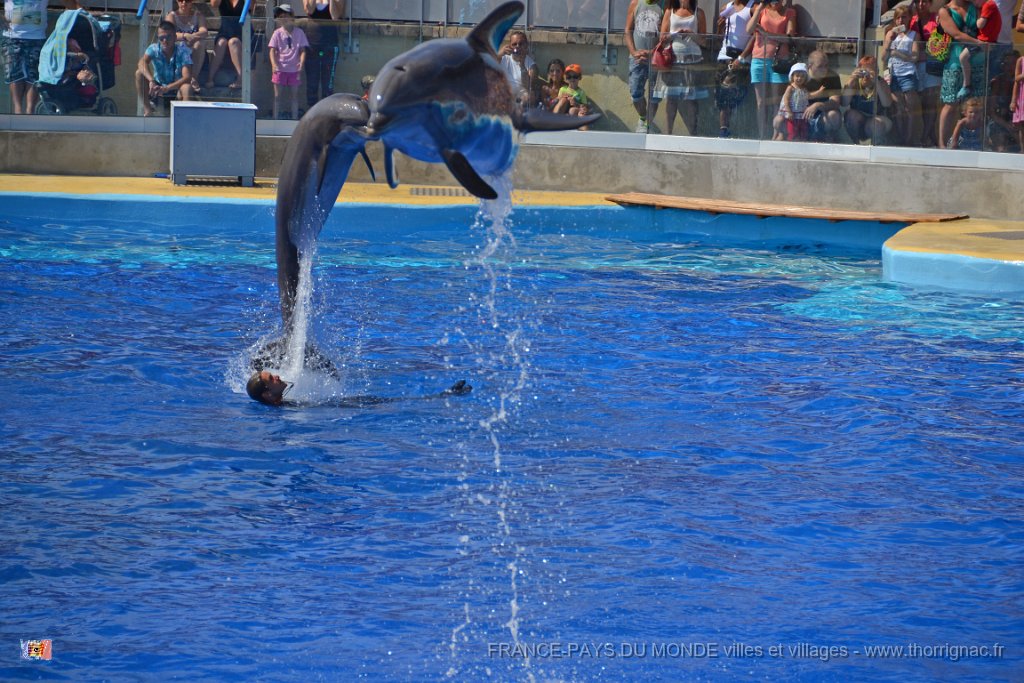 Marineland aout 2014 37.JPG - Marineland - Parc d'attractions aquatiques - Antibes - Août 2014