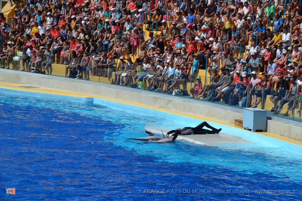Marineland aout 2014 38.JPG - Marineland - Parc d'attractions aquatiques - Antibes - Août 2014