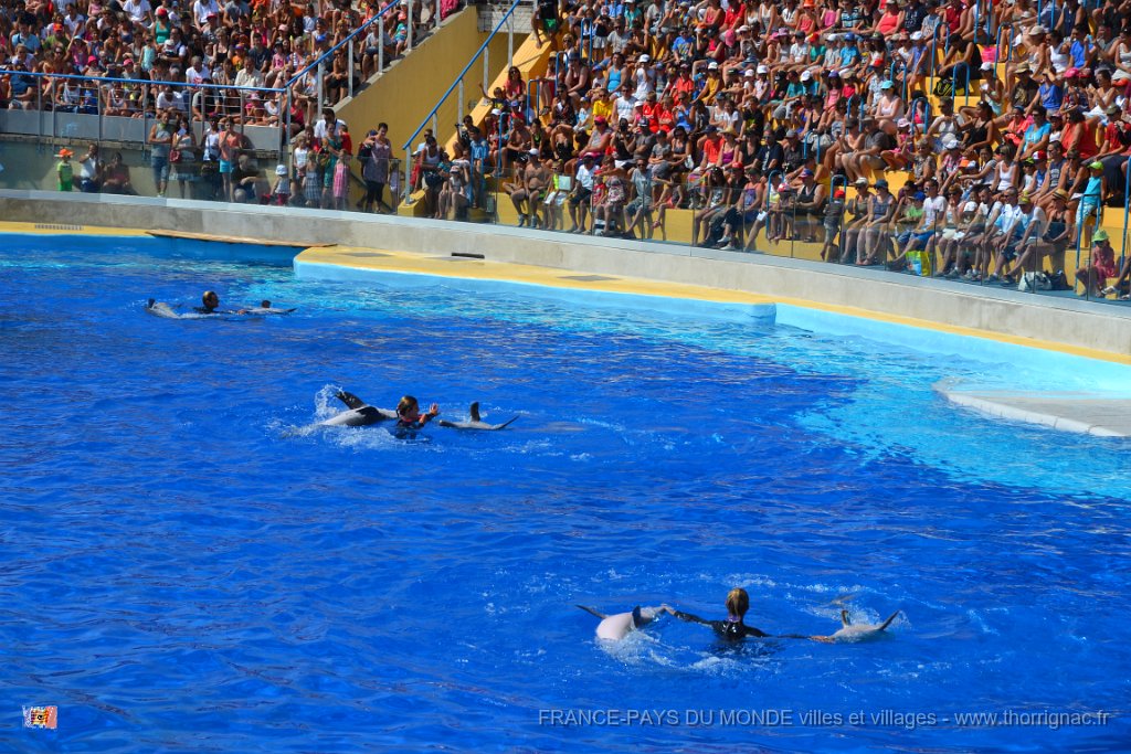 Marineland aout 2014 40.JPG - Marineland - Parc d'attractions aquatiques - Antibes - Août 2014