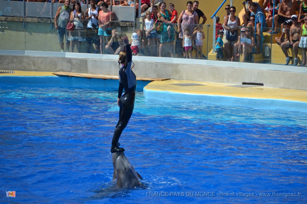 Marineland aout 2014 41.JPG - Marineland - Parc d'attractions aquatiques - Antibes - Août 2014