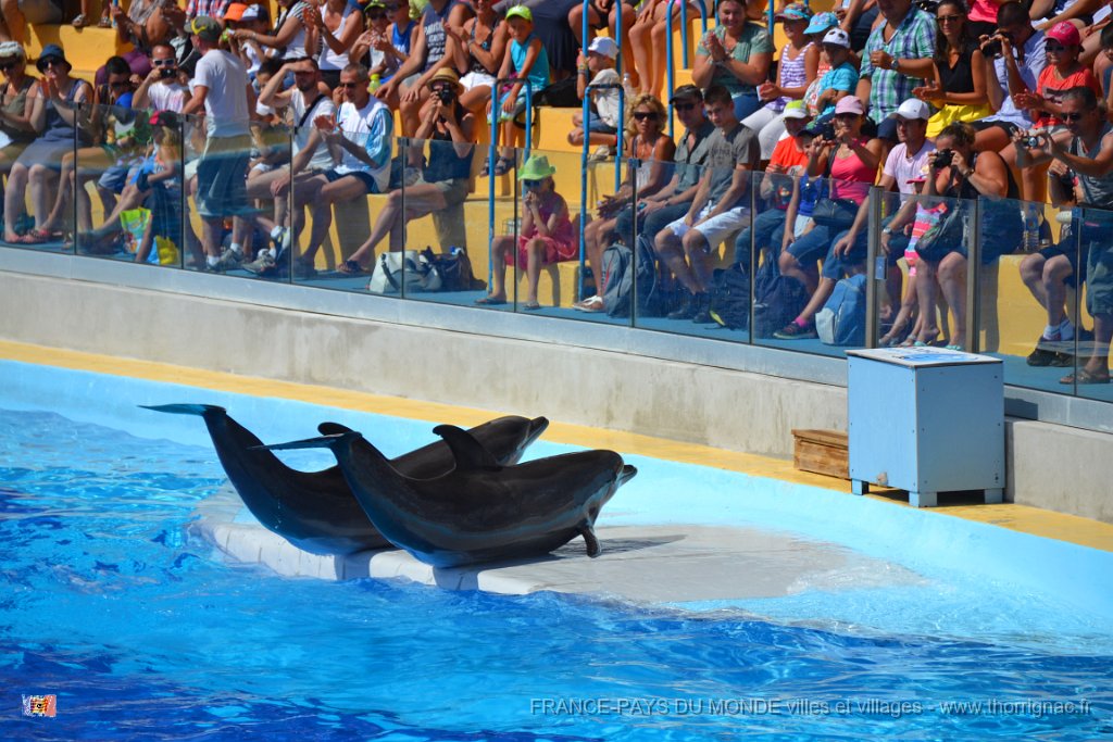 Marineland aout 2014 42.JPG - Marineland - Parc d'attractions aquatiques - Antibes - Août 2014