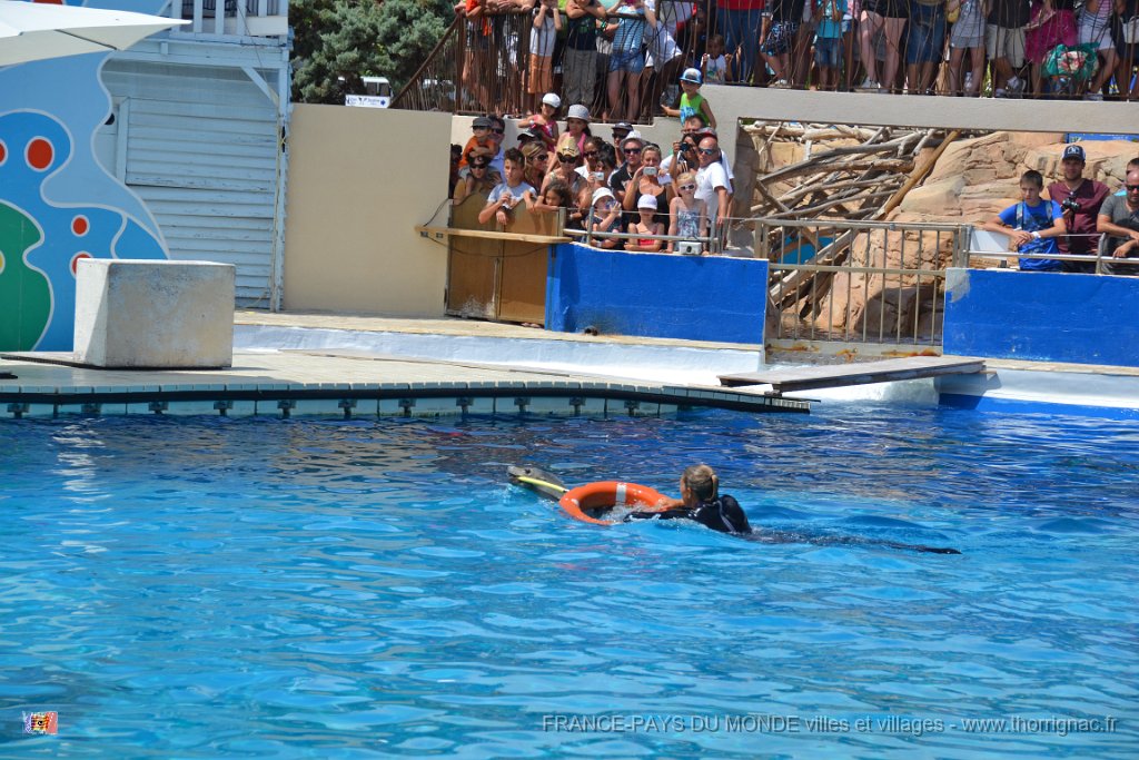 Marineland aout 2014 62.JPG - Marineland - Parc d'attractions aquatiques - Antibes - Août 2014