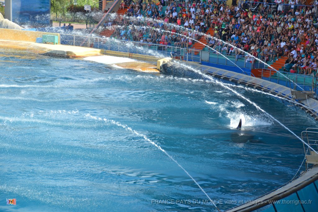 Marineland aout 2014 75.JPG - Marineland - Parc d'attractions aquatiques - Antibes - Août 2014