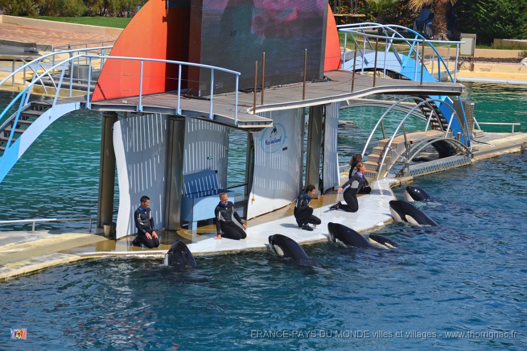 Marineland aout 2014 81.JPG - Marineland - Parc d'attractions aquatiques - Antibes - Août 2014