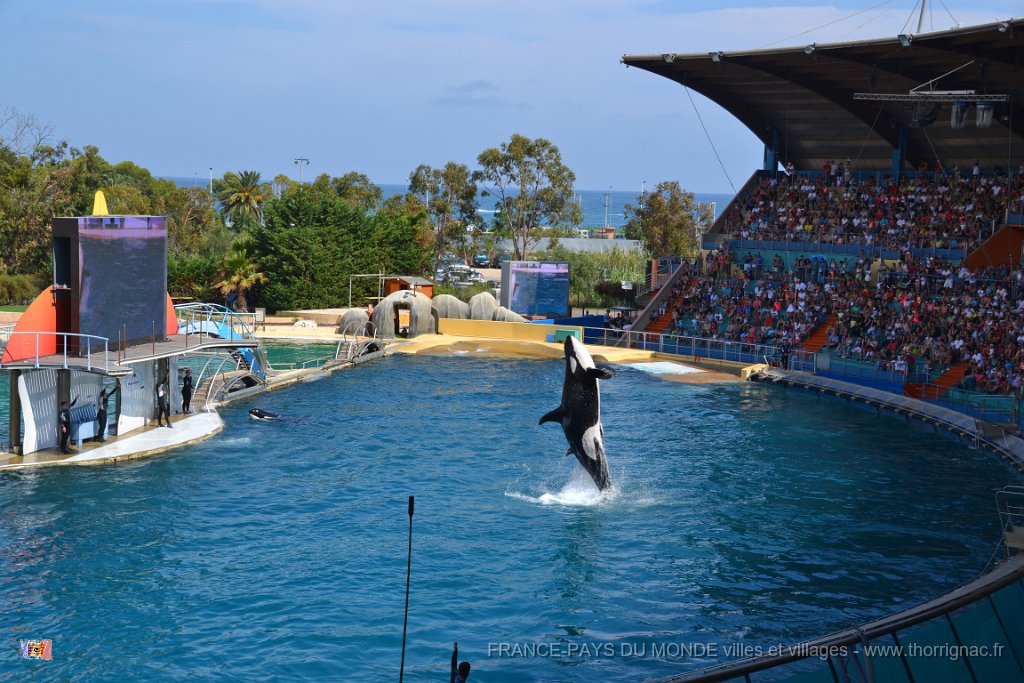 Marineland aout 2014 99.JPG - Marineland - Parc d'attractions aquatiques - Antibes - Août 2014