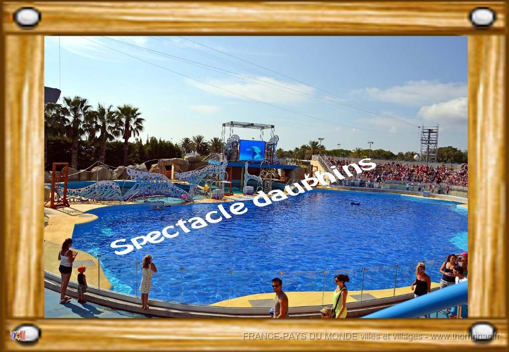 Spectacle dauphins.jpg - Marineland - Parc d'attractions aquatiques - Antibes - Août 2014