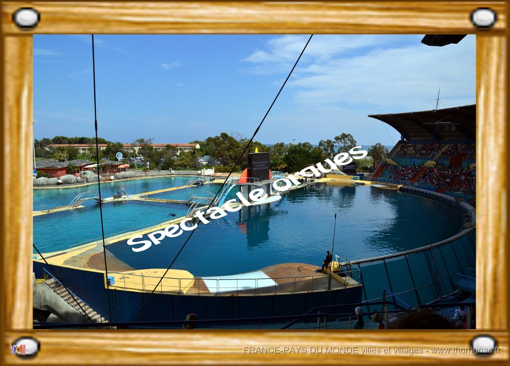 Spectacle orques.jpg - Marineland - Parc d'attractions aquatiques - Antibes - Août 2014