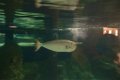 Marineland aout 2014 104