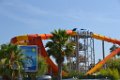 Marineland aout 2014 11