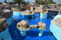 Marineland aout 2014 15