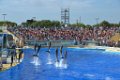 Marineland aout 2014 25