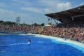 Marineland aout 2014 27