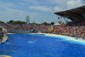 Marineland aout 2014 28
