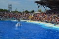 Marineland aout 2014 29