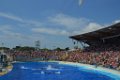 Marineland aout 2014 30