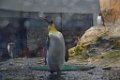 Marineland aout 2014 51