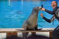 Marineland aout 2014 57