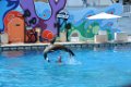 Marineland aout 2014 66