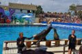 Marineland aout 2014 69
