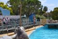 Marineland aout 2014 70