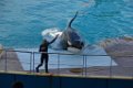 Marineland aout 2014 90
