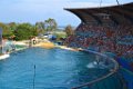 Marineland aout 2014 93