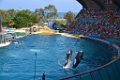 Marineland aout 2014 96