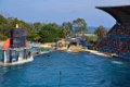 Marineland aout 2014 97