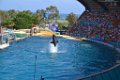 Marineland aout 2014 98