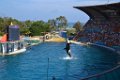 Marineland aout 2014 99