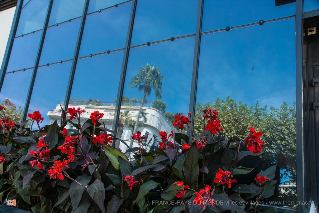 Cannes 04 09 2018 26.jpg - Cannes (06) - 04 septembre 2018.