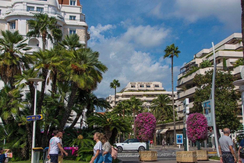 Cannes 04 09 2018 35.jpg - Cannes (06) - 04 septembre 2018.