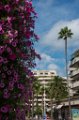 Cannes 04 09 2018 36