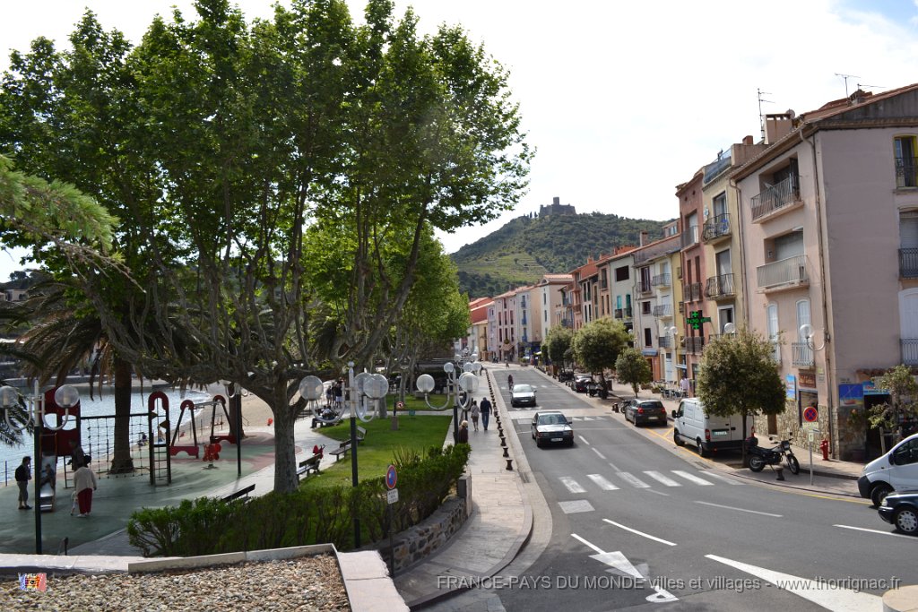 collioure 14 mai 2013 31  Copie.JPG - Collioure. Rue de la Démocratie. Mai 2013