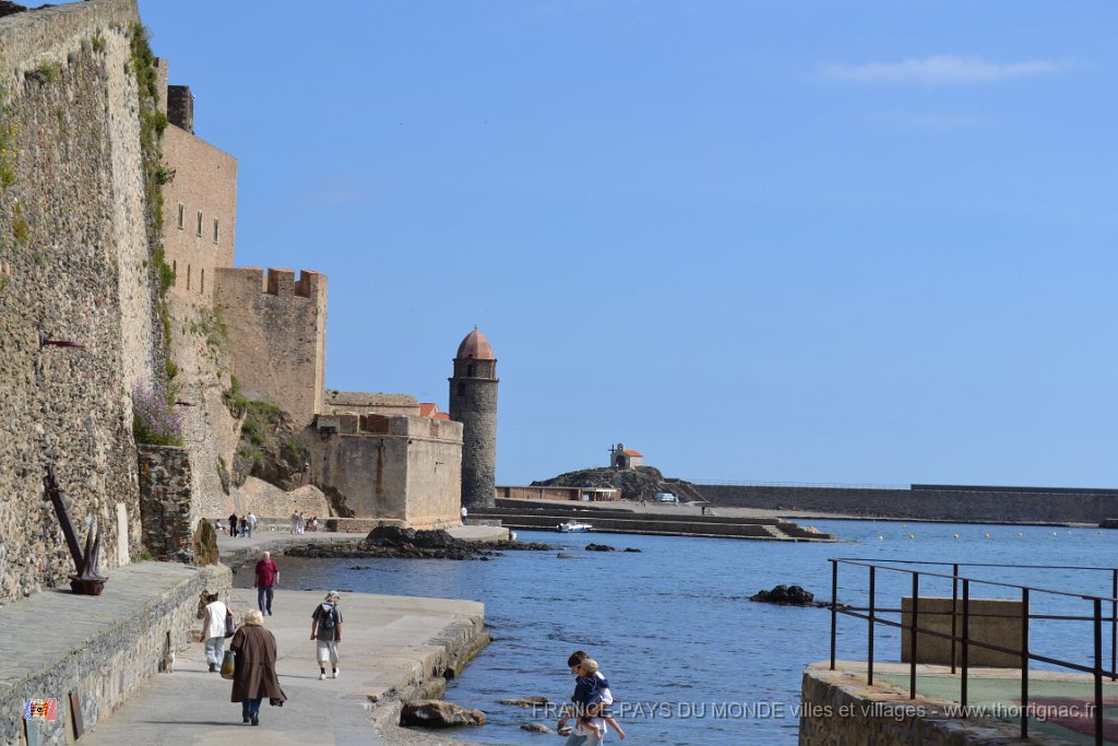 collioure 14 mai 2013 33  Copie.JPG - Collioure. Le Château Royal et le clocher de Notre Dame des Anges. Mai 2013