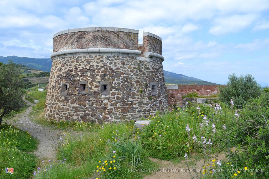 collioure 14 mai 2013 8  Copie.JPG - Collioure.  Le Fort Rond. Mai 2013