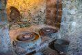 Monastere de la Verne Collobrieres 01062018 27