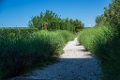 Monastere de la Verne Collobrieres 01062018 33