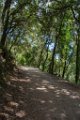 Monastere de la Verne Collobrieres 01062018 54