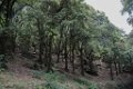 Monastere de la Verne Collobrieres 01062018 59