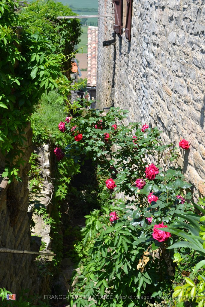 DSC 0127.JPG - Cordes sur Ciel (81)
