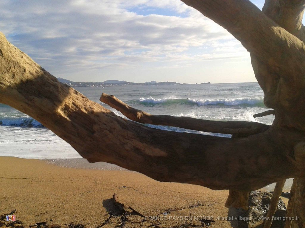 Base Nature 26 11 2013 7.jpg - Base Nature François Léotard. La plage au niveau de l'embouchure de l'Argens. 26 novembre 2013