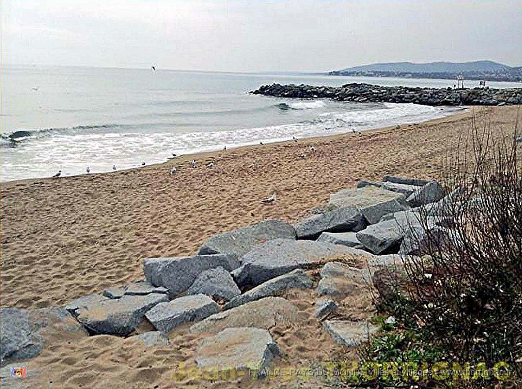 Diapositive4 .jpg -  le bord de mer à la base nature "François Léotard" en février, au fond, la colline de Saint-Aygulf.